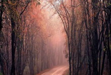 国安实力崛起,双线作战丝毫不懈怠